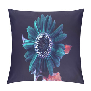 Personality  Abstract Sunflower Plant Colorful Light. Beautiful Plant Minimal On A Dark  Background Pattern For Design.  Pillow Covers