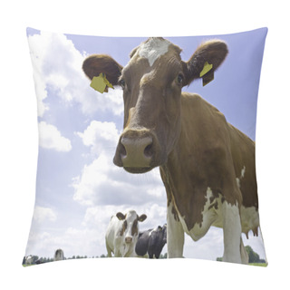 Personality  Dairy Holstein Cows Pillow Covers