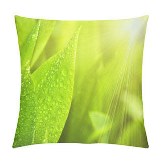 Personality  Gardens Grass With The Lilies Pillow Covers