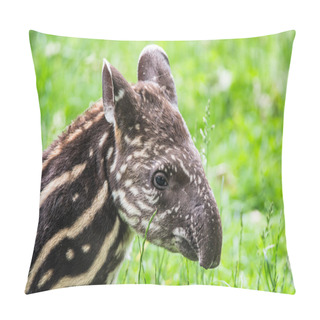 Personality  Baby Of The Endangered South American Tapir Pillow Covers