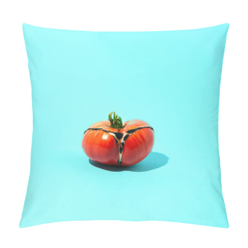 Personality  Red tomato painted on the back in panties. Summer scene. Aesthetics on a blue background. pillow covers