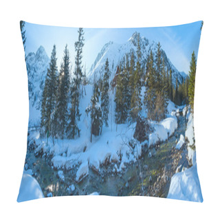 Personality  Winter Mountain Stream Panorama. Pillow Covers