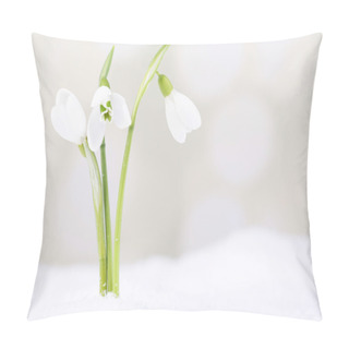 Personality  Beautiful Snowdrops On Snow, On Light Background Pillow Covers