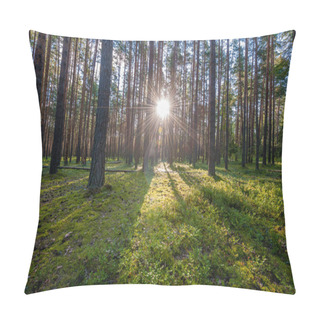 Personality  Sunrise In Pine Forest Pillow Covers