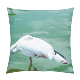 Personality  Heron With White Feathers Standing In Pond In Zoo  Pillow Covers