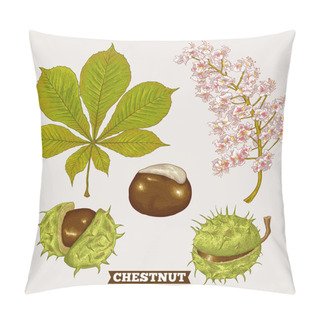 Personality  Blossom Chestnut Botanical Vector Illustration Pillow Covers