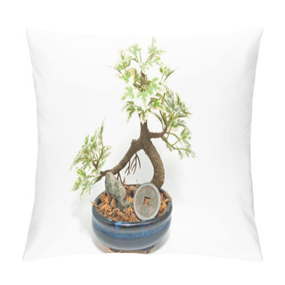 Personality  Small Ekibana Pillow Covers
