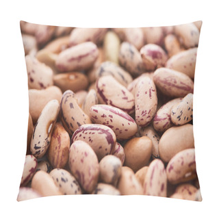 Personality  Close Up View Of Raw Pinto Beans Pillow Covers