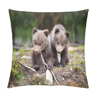 Personality  Two Little Brown Bear Cub In Summer Forest Pillow Covers