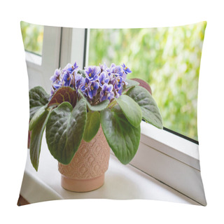 Personality  African Violet Flower Saintpaulia In Bloom As Decoration For Windowsill And Home. Pillow Covers