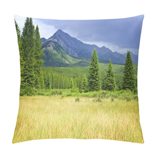 Personality  Scenic View In Canadian Rockies Pillow Covers