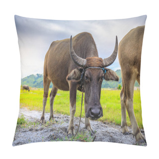 Personality  Carabao Or Water Buffalo Pillow Covers