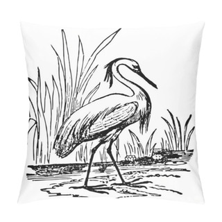 Personality  Egret Have The Feathers On The Lower Part Of The Back Lengthened, Vintage Line Drawing Or Engraving Illustration. Pillow Covers