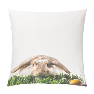 Personality  Rabbit Looking At Camera And Sitting On Grass With Eggs, Easter Concept Pillow Covers