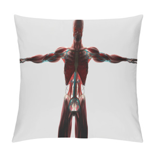 Personality  Human Anatomy Model Pillow Covers