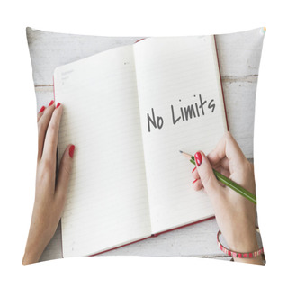 Personality  Woman Writing Notes In Diary Pillow Covers