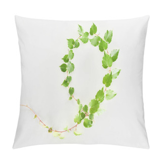 Personality  Top View Of Hop Plant Twig With Green Leaves Isolated On White Pillow Covers