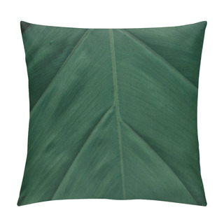 Personality  Close Up View Of Textured Green Leaf With Copy Space Pillow Covers