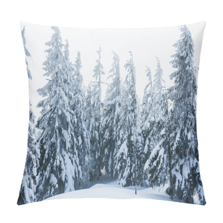 Personality  Trees Pillow Covers
