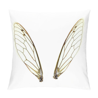 Personality Isolated Cicada (Jar FLy) Wings Pillow Covers