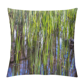 Personality  Closeup Flooded Grass Pillow Covers