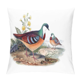 Personality  Illustration Of Animals Old Image Pillow Covers
