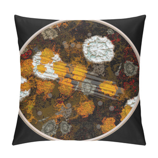 Personality  Illustration Of Fungus Pillow Covers