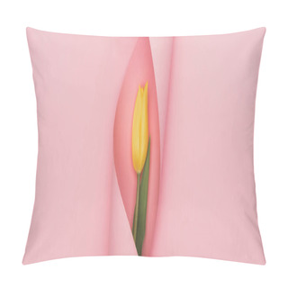 Personality  Top View Of Yellow Tulip Wrapped In Paper Swirl On Pink Background, Panoramic Shot Pillow Covers