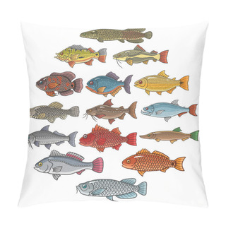 Personality  Brazilian Fish On White Background Pillow Covers