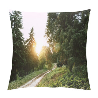 Personality  Footpath In Autumn Park Pillow Covers
