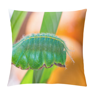 Personality  Mango Baron Caterpillar Pillow Covers