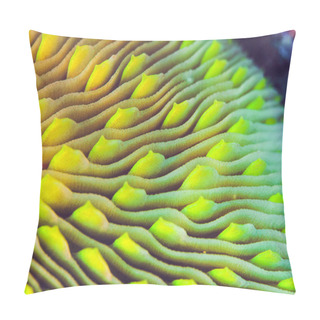 Personality  Mushroom Coral Skeleton Pillow Covers