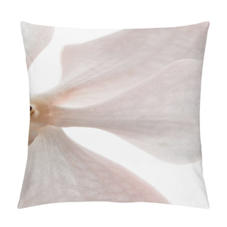 Personality  Close Up View Of Natural Beautiful Orchid Flower Isolated On White Pillow Covers