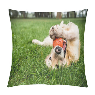 Personality  Selective Focus Of Golden Retriever Dog Playing With Rubber Ball On Green Lawn Pillow Covers