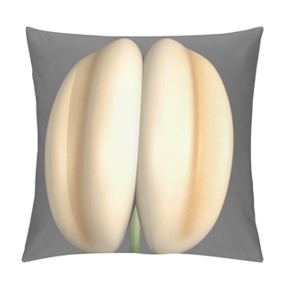 Personality  Structure Of Stamen Pillow Covers