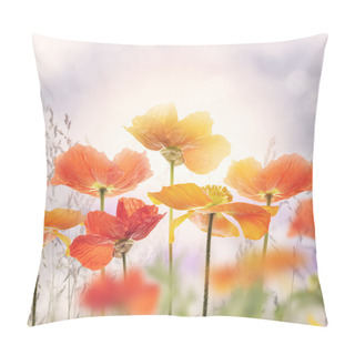 Personality  Poppy Flowers Blossom Pillow Covers