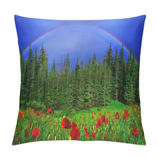 Personality  Rainbow Above Wild Poppies Pillow Covers