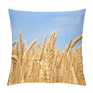 Personality  Gold Wheat Field Pillow Covers
