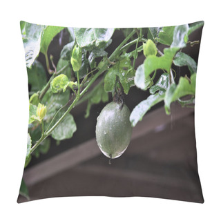 Personality  Fruit Of Passion Fruit On A Rainy Day Pillow Covers
