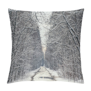 Personality  Road And Trees In Snowy Forest In Winter During Sunset Pillow Covers