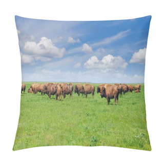 Personality  Herd Of The American Bisons In The Spring Steppe Pillow Covers