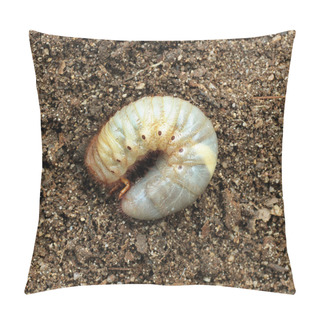 Personality  Image Of Beetle Larvae On The Ground. Pillow Covers