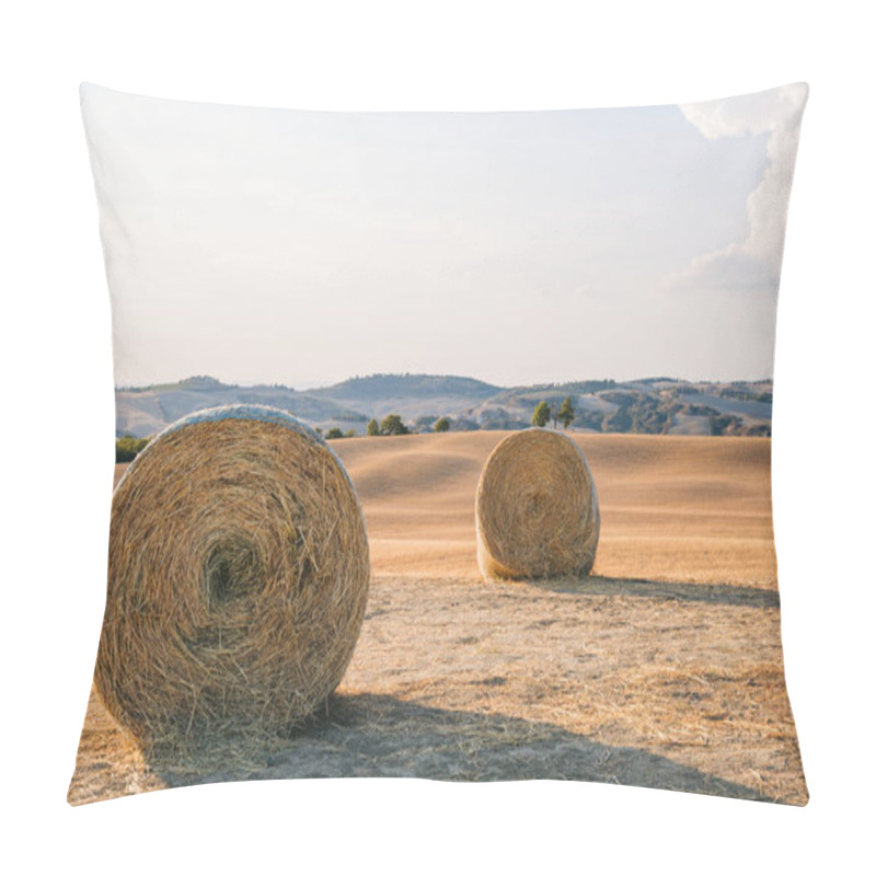 Personality  Hay Pillow Covers