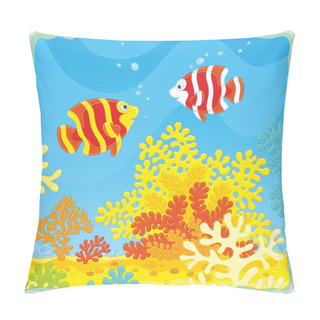 Personality  Coral Fishes On The Reef Pillow Covers