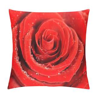 Personality  Rose Flower Bud Petals  Pillow Covers