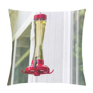 Personality  Hummingbird On A Feeder Pillow Covers