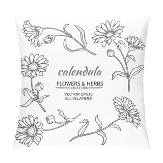 Personality  Calendula Vector Set Pillow Covers