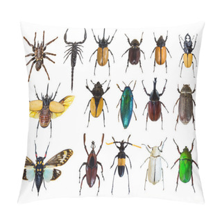Personality  Regular Bug Pattern Pillow Covers