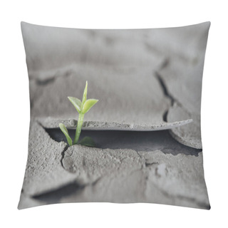 Personality  Selective Focus Of Young Green Plant On Cracked Ground Surface, Global Warming Concept Pillow Covers