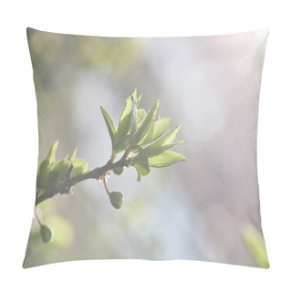 Personality  Close Up Of Tree Branch With Green Leaves And Shining Sun On Blurred Background Pillow Covers